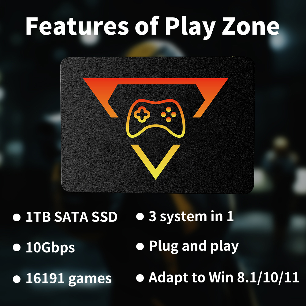Playzone 1T Gaming SSD With 16 - Pc Gaming Aaa のレビューと価格